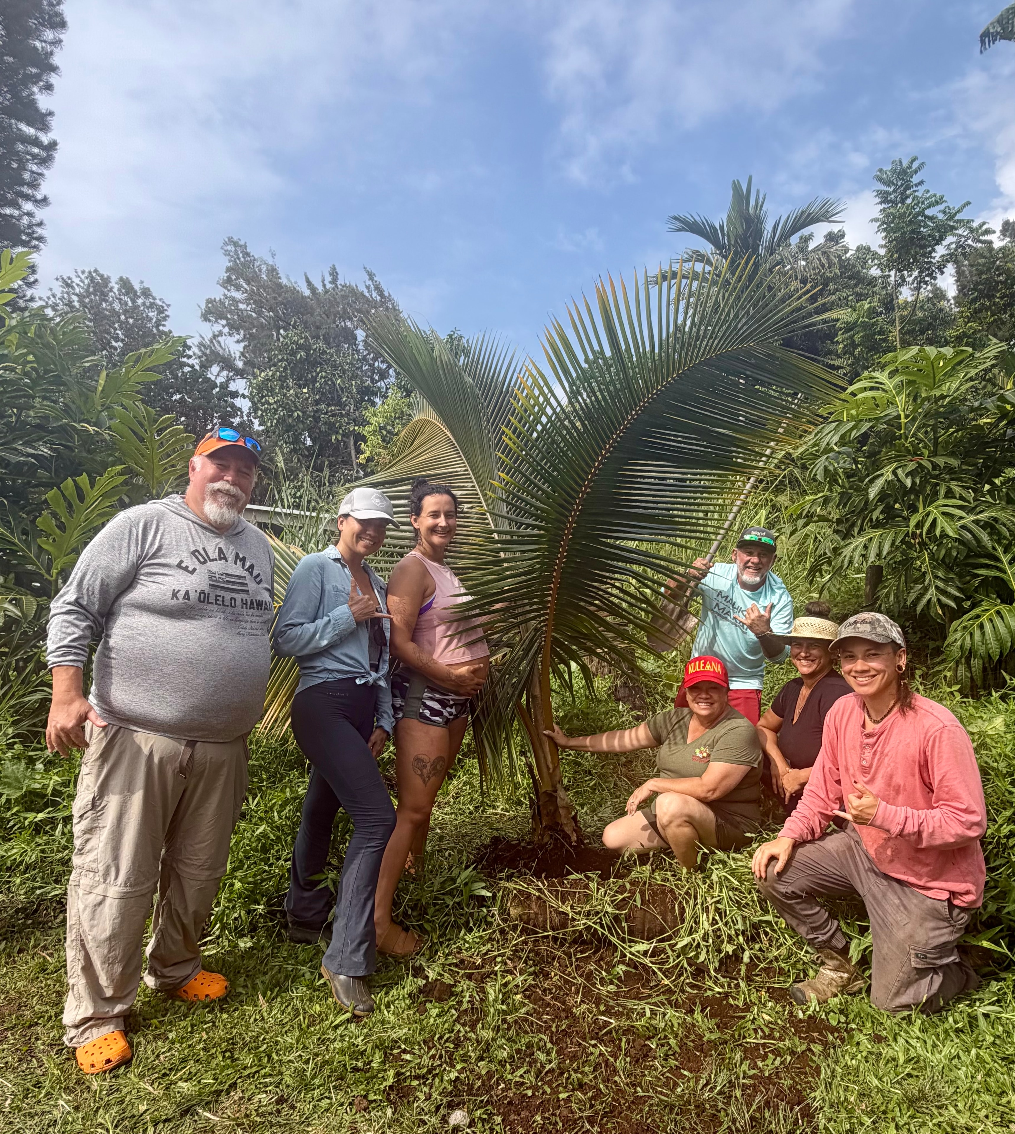 Hālau Family Trees